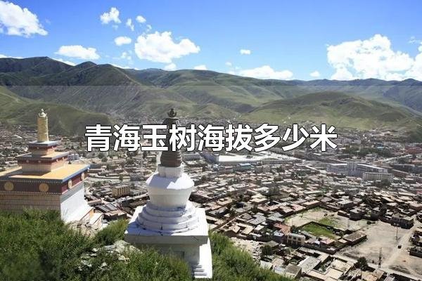 玉树市区海拔多少米,青海玉树海拔多少米图1