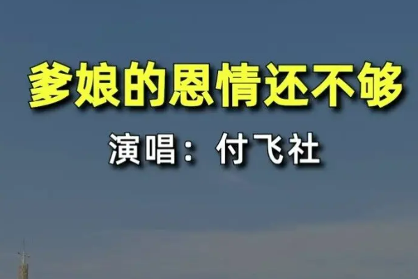 爹娘的恩情还不够星光大道谁唱的,敬爱的老父亲原唱图4