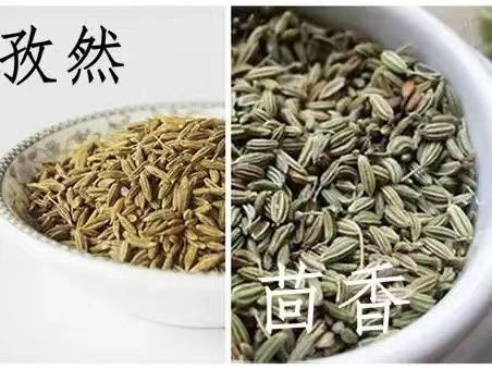 小茴香和孜然的区别,茴香和孜然一样图2