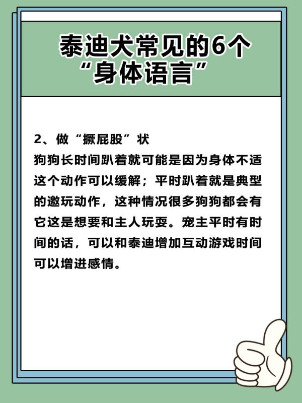 如何读懂泰迪的语言,怎么聊泰迪的话题图3