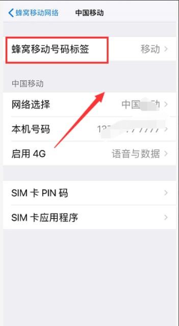 苹果手机iphone xr美版支持双卡,美版苹果xr怎样设置双卡双待模式图6