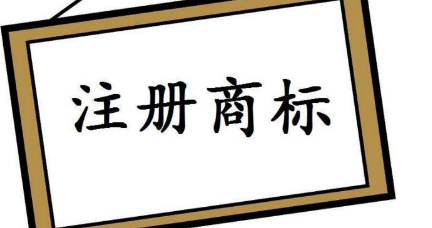 抢注商标应该注意什么事项,抢注国外商标的后果图5