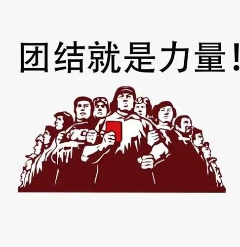 形容团结的励志语录,团结的句子励志简短图1