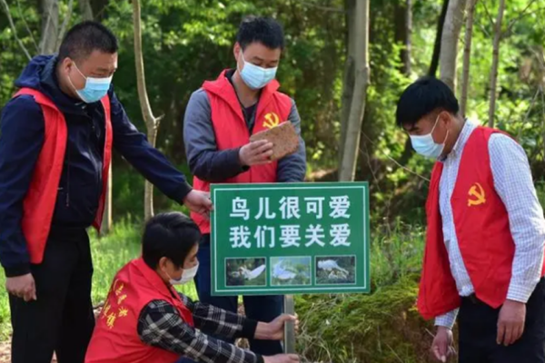 爱鸟周是每年几月几日,浙江爱鸟周在什么时候图2