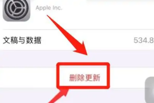 ios3其他系统数据如何清理,iphone里其他系统数据怎么清理图3