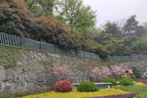 南京景点 分别有哪些,南京的旅游景点有哪些地方图4