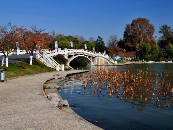 南京景点 分别有哪些,南京的旅游景点有哪些地方图7