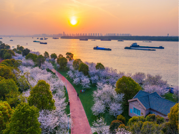 南京景点 分别有哪些,南京的旅游景点有哪些地方图9