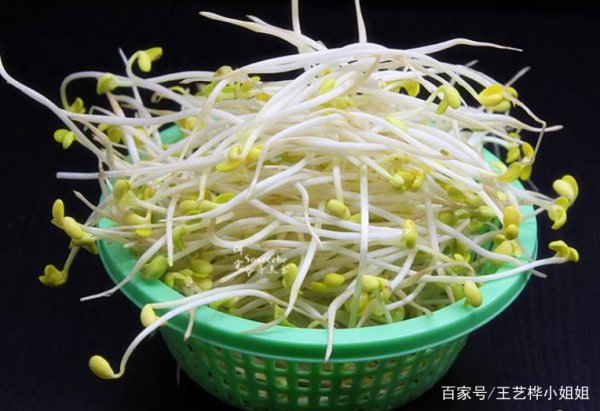 黄豆芽怎么选,怎样挑选豆芽菜图7