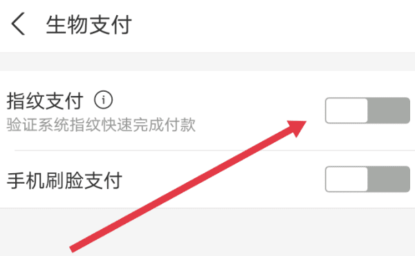 支付宝指纹解锁怎么关掉,支付宝应用添加到桌面后可以解除指纹解锁图6