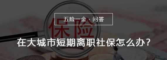 辞职后社保会马上停,辞职了社保是立马停保图4