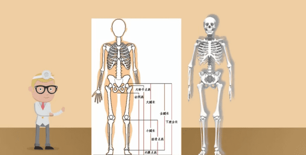 腿长怎么量标准图,正确量腿长的方式有图图9