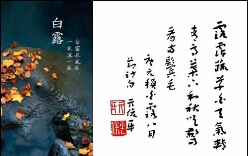 露从今夜白月是故乡明意思,露从今夜白月是故乡明出自谁的诗图3