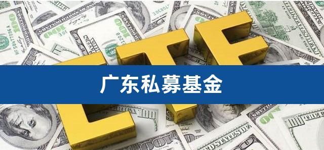 私募基金可以随时退出,私募基金未清算可以先退本图4