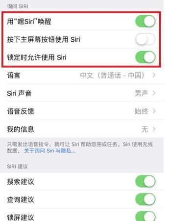 为什么siri不说话,siri为什么不会说话了苹果手机7p图6