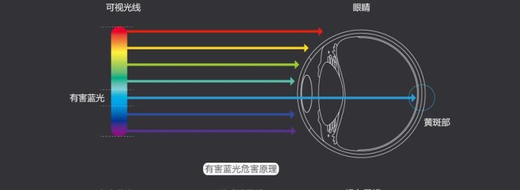 眼镜防蓝光是什么意思,防蓝光什么意思图1