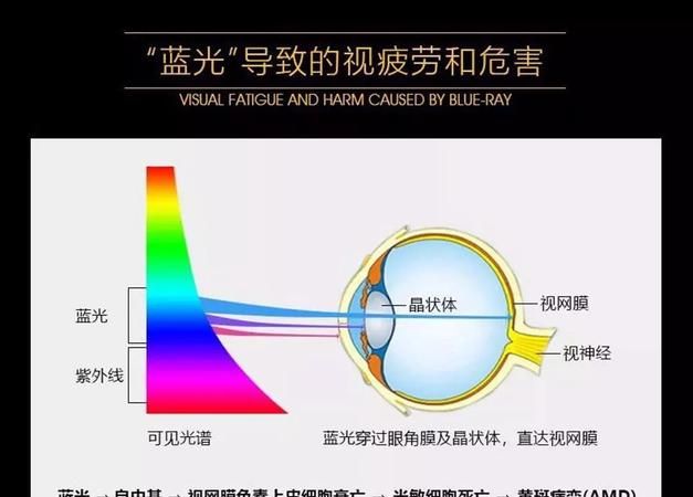 眼镜防蓝光是什么意思,防蓝光什么意思图4