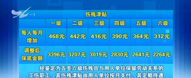 六级伤残待遇是怎么样的,工伤九级伤残退休有什么补助图2