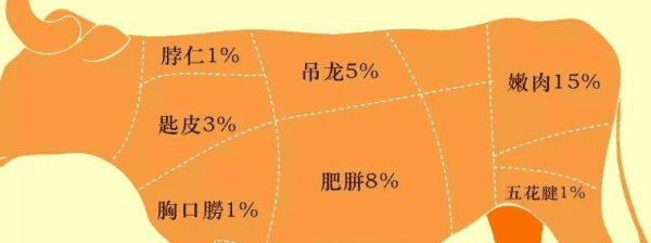 牛胸口是哪个部位,牛身上08个部位名称是什么图2