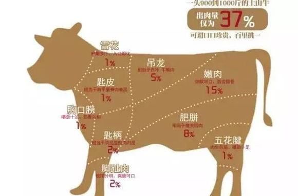 牛胸口是哪个部位,牛身上08个部位名称是什么图3