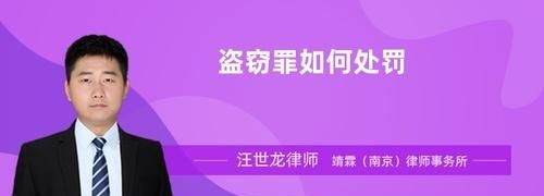 盗窃罪法条有哪些,盗窃罪立案标准司法解释最新图1