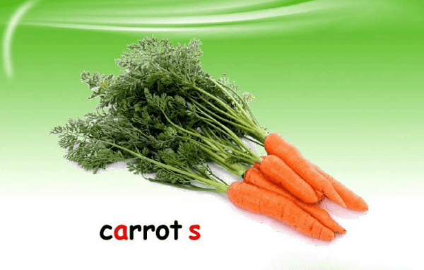 carrot的复数形式什么,carrots怎么读图2