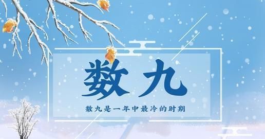 数九天吃什么,数九天如何养生图2