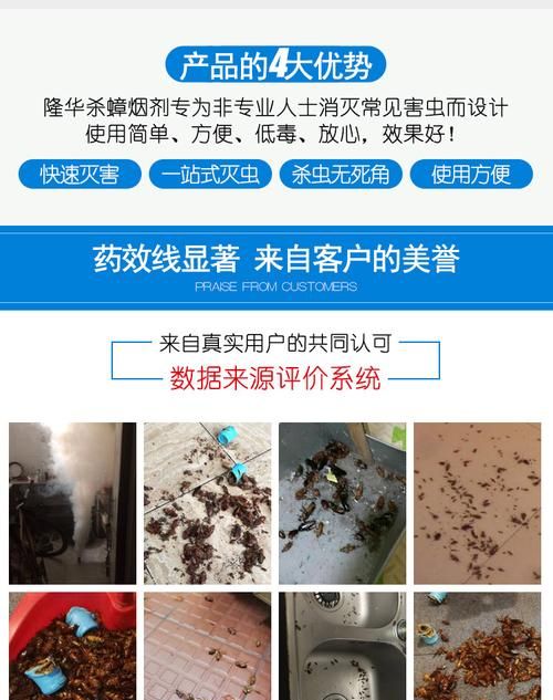 蚊香能杀死蟑螂,蚊香可以杀死蟑螂死图4