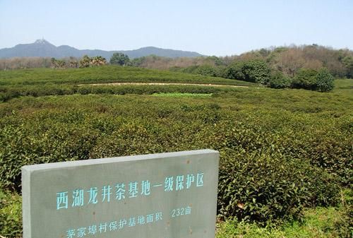 四大名茶之一的龙井产地是哪里,四大名茶之一的龙井茶产地是图3