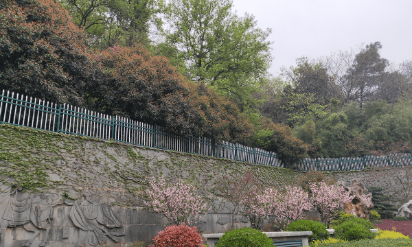 南京景点 分别有哪些,南京有什么景点好玩的地方图5