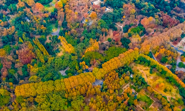 南京景点 分别有哪些,南京有什么景点好玩的地方图10