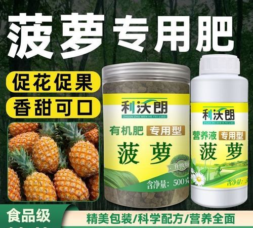 菠萝发酵可以当肥料,菠萝皮发酵好了能浇花图4