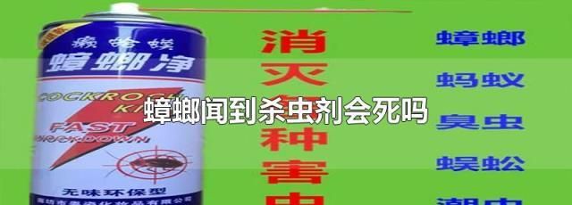 杀虫剂有毒,杀虫喷射剂毒性大图2