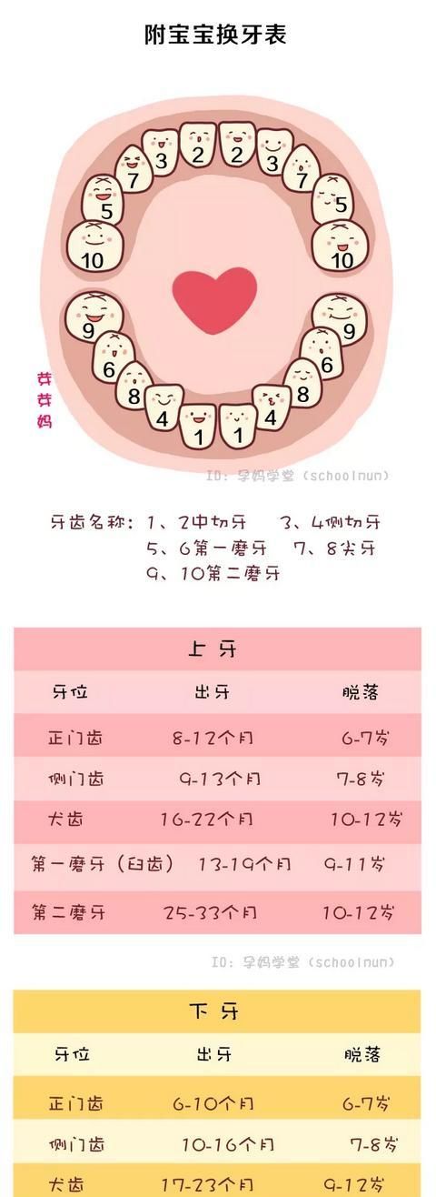 小孩是怎么出牙的,小孩是怎么出牙的多方面需注意哪些问题图7