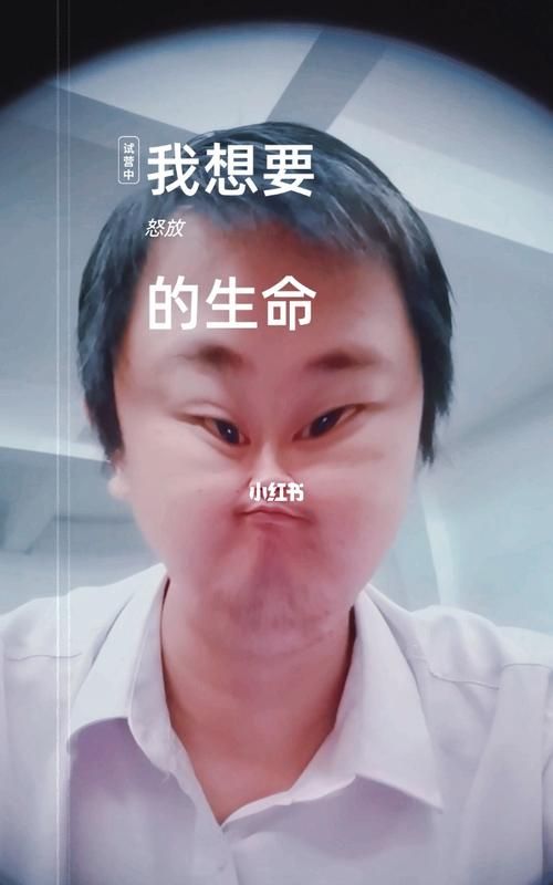 亳无违和感什么意思,毫无违和感的意思是什么意思