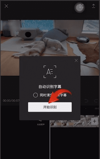 剪映怎么自动添加字幕,如何根据字幕自动配音图9