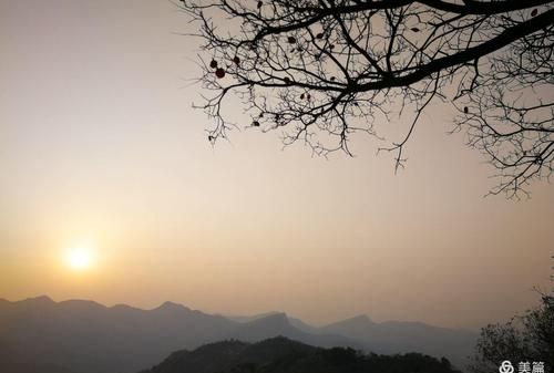 日暮苍山远的苍是什么颜色,日暮苍山远的苍字是什么意思图2