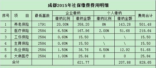 成都社保个人缴费标准,成都医保社保缴费标准是多少图4