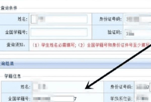 小学学籍怎么查,如何查询小学生学籍号图20