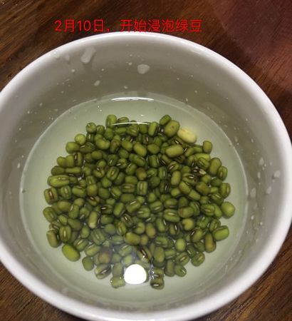 绿豆提前泡多久,绿豆要泡多久图4