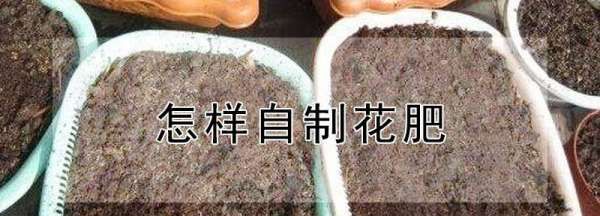 家庭如何自制肥料,肥料怎么制作图3