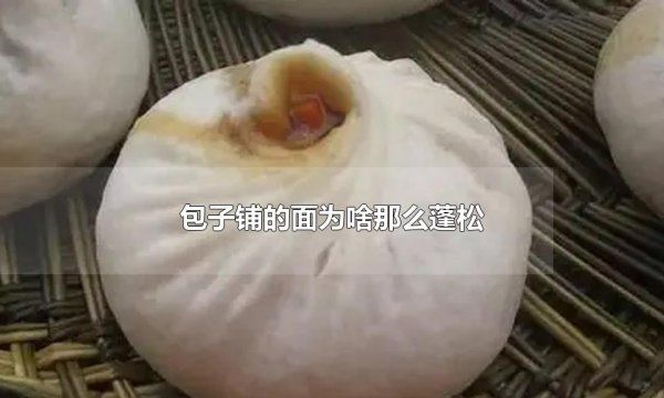 老面包子不够松软的原因,蒸馒头垫什么最好图3