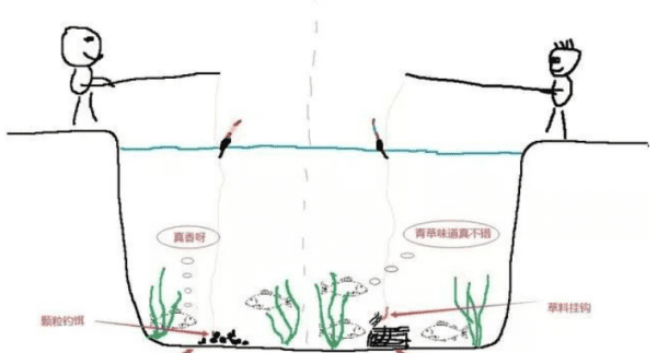 水库钓草鱼钓底还是钓浮,钓草鱼是钓底还是钓浮图1