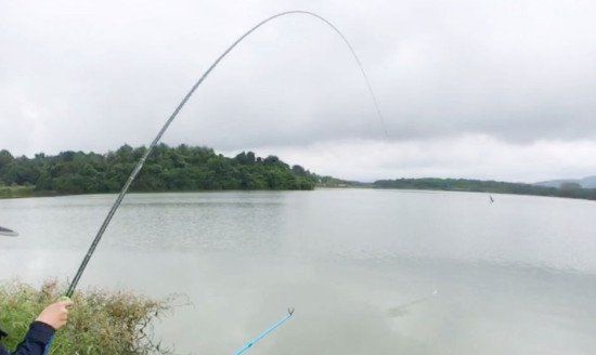 水库钓草鱼钓底还是钓浮,钓草鱼是钓底还是钓浮图5