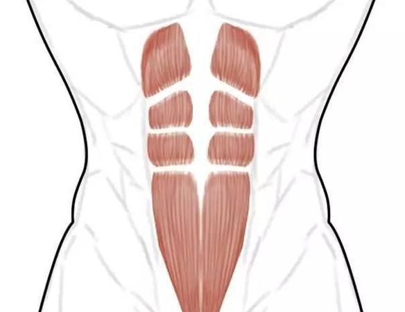 怎么样把腹肌练宽,如何扩大肩宽和锻炼腹肌的方法图3