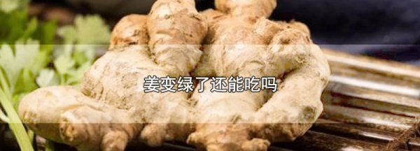 姜绿了可以食用,姜发绿色了还能吃图3