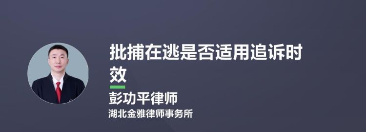 批捕在逃资料如何查阅,批捕在逃资料如何查阅图2