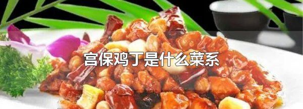 宫保鸡丁是什么口味的菜,宫保鸡丁的口感描述300字图1