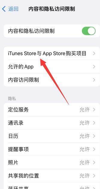 苹果手机iphone 版本低不了软件怎么办,苹果手机为什么不能软件app图3