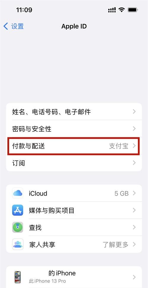 苹果手机iphone 怎么用微信支付,苹果怎么用微信支付游戏图10